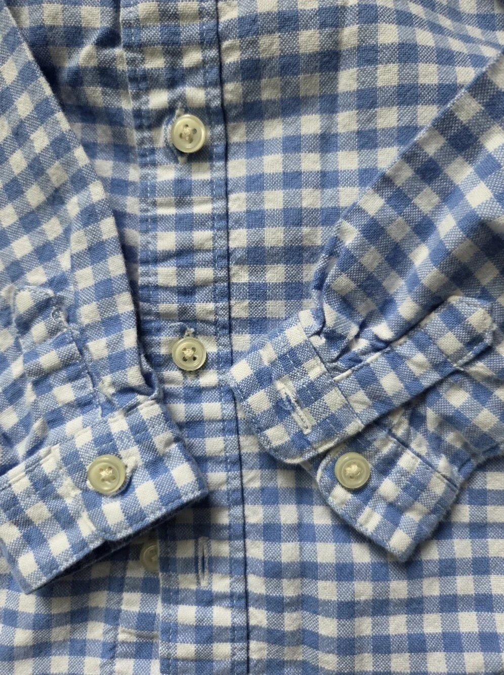 Ralph Lauren Blue and White Gingham Button-Down Shirt for Kids 6M